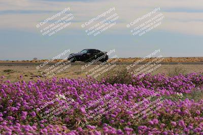 media/Jan-08-2023-SCCA SD (Sun) [[8f6a5b9391]]/Intermediate Group/Session 2 (Short Straight)/